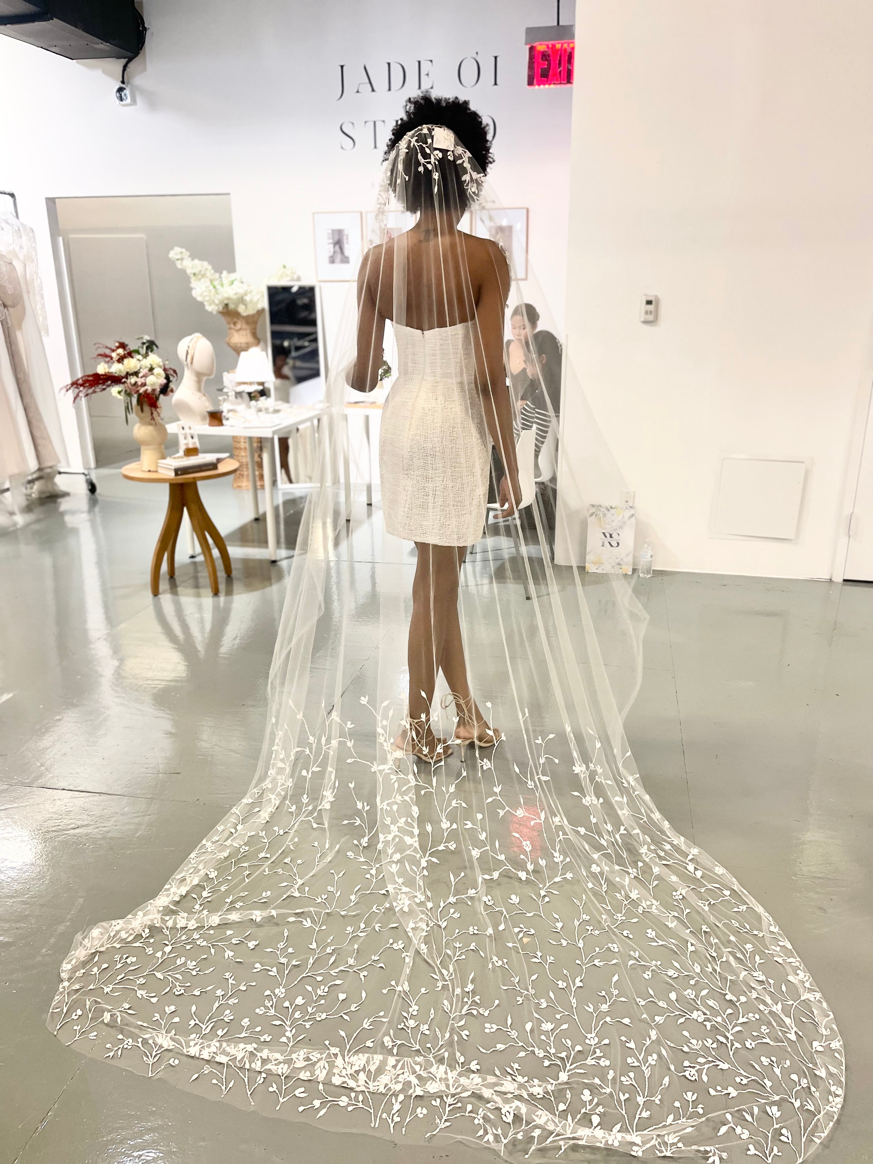 Handpainted Baby's Breath Veil - figertip veil, Chaptel veil (has